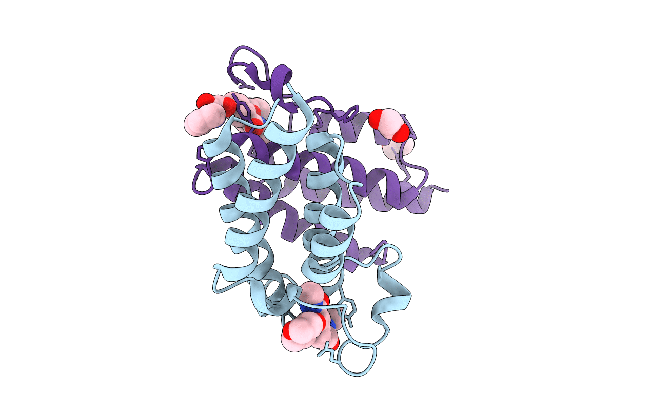 5FDZ image