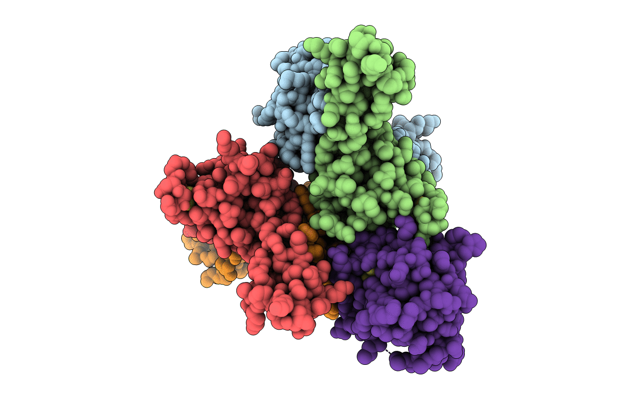 5FFI image