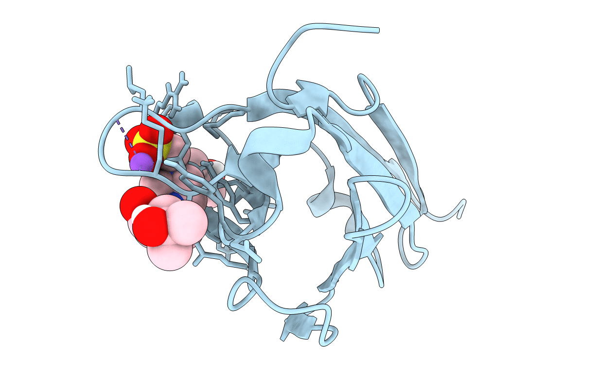 5FFL image