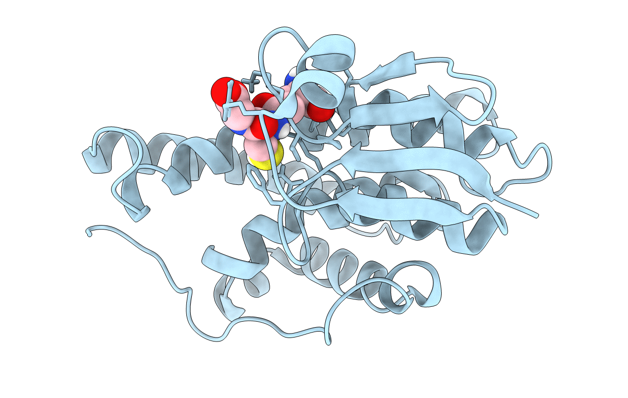 5FHI image