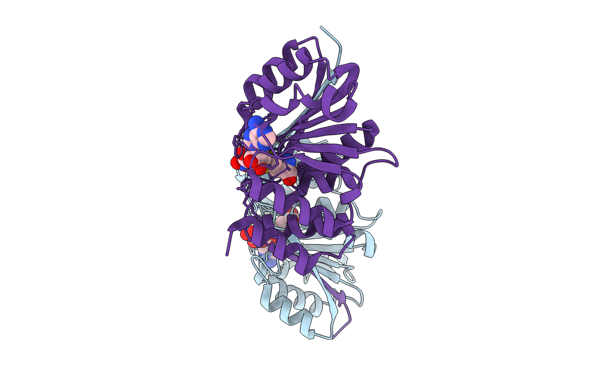 5FHR image
