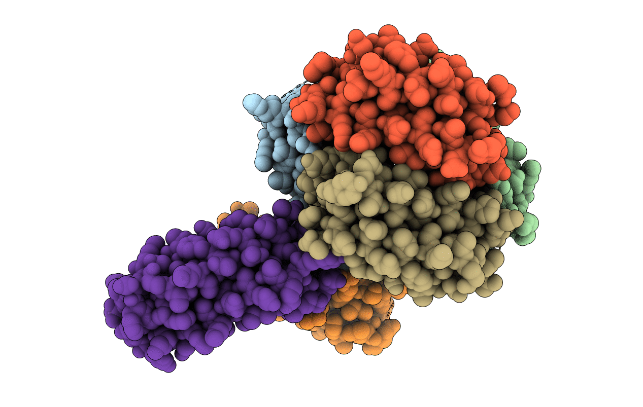 5FIG image
