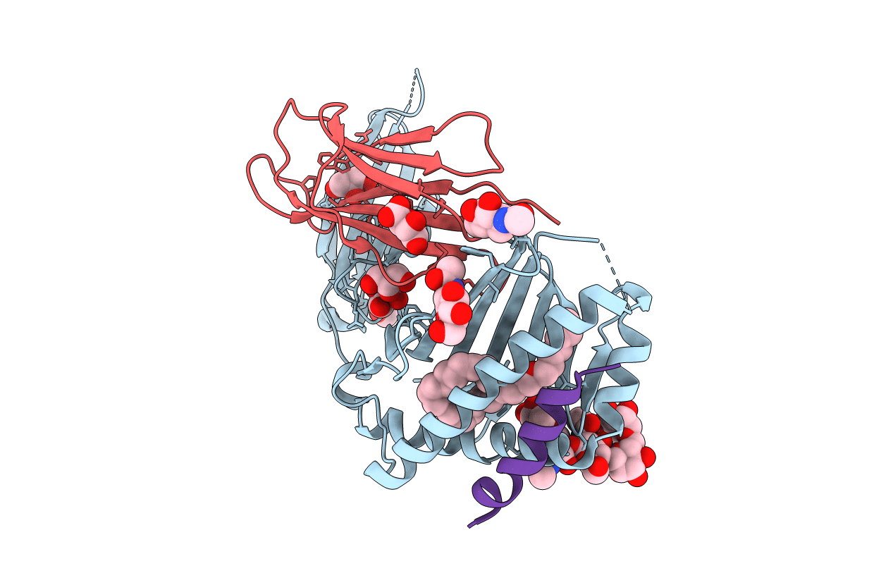 5FKP image
