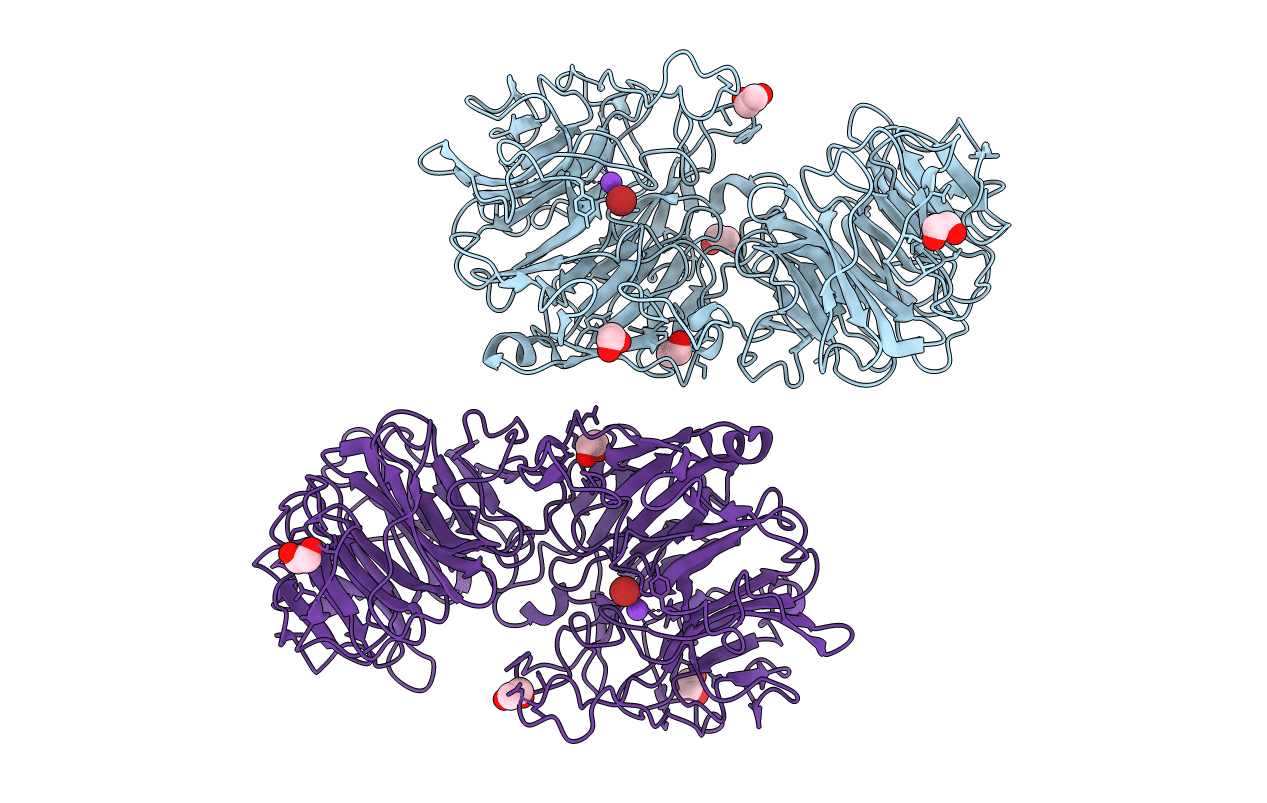 5FKT image