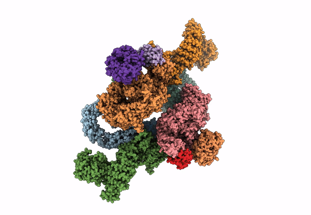 5FLC image