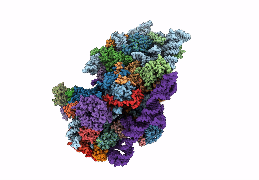 5FLX image