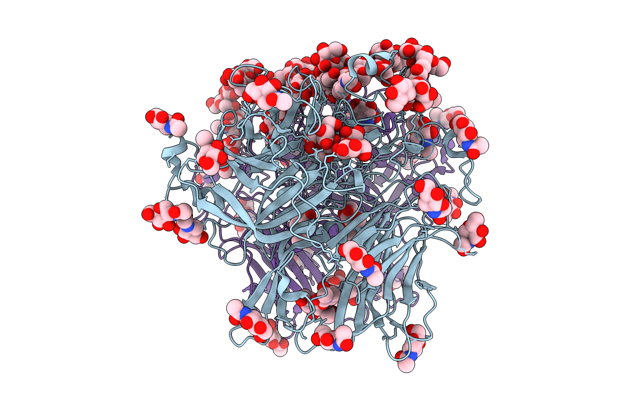 5FMD image