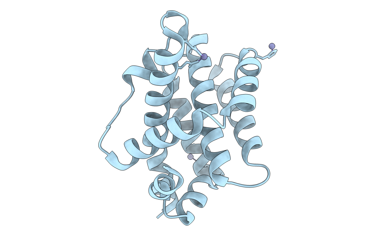5FMI image