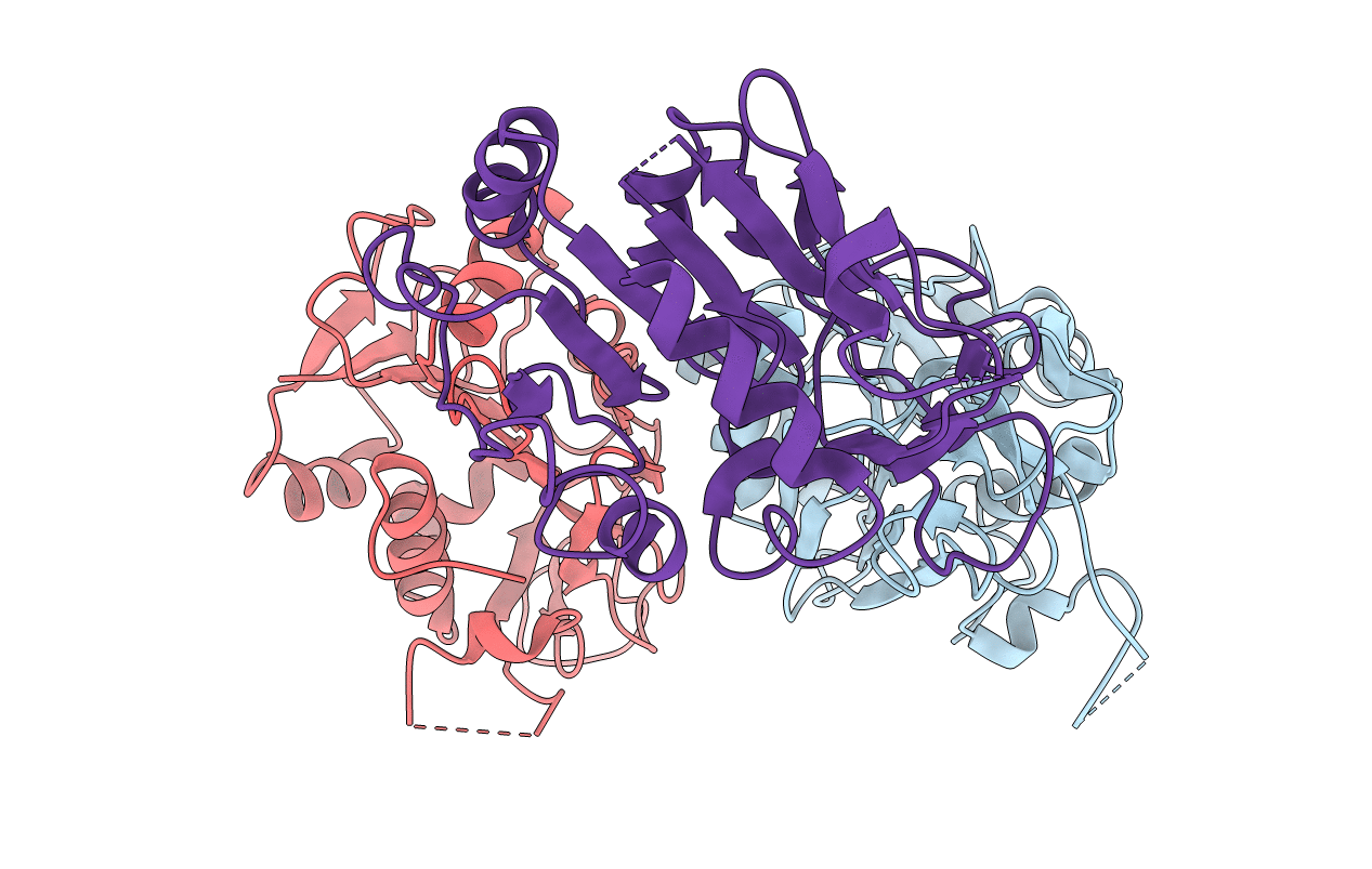5FMS image