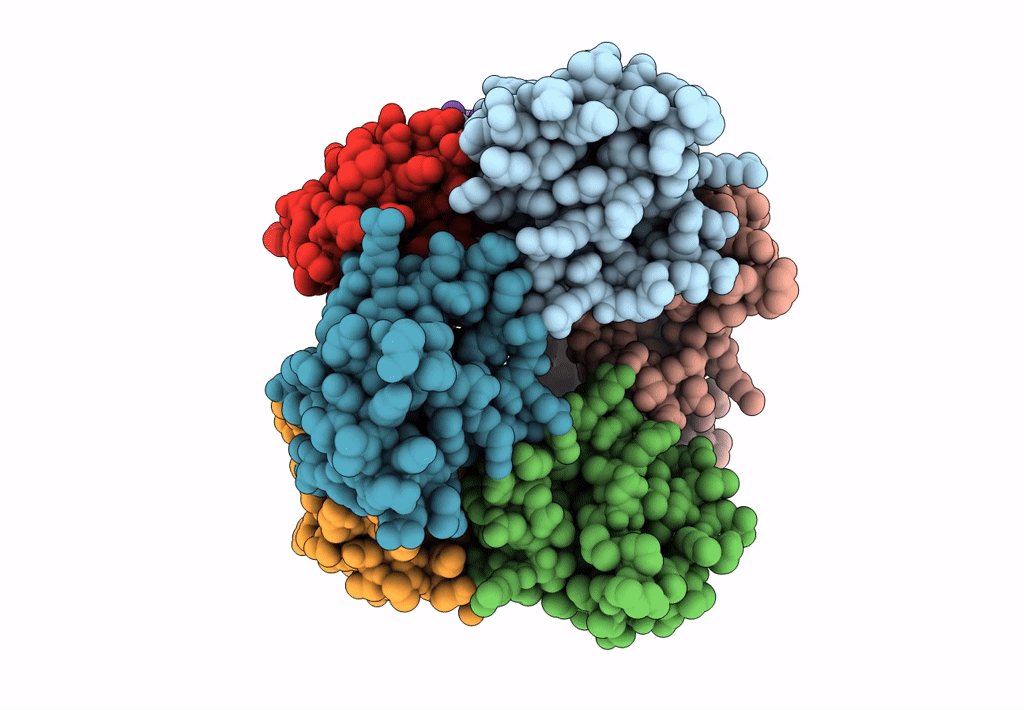 5FNA image