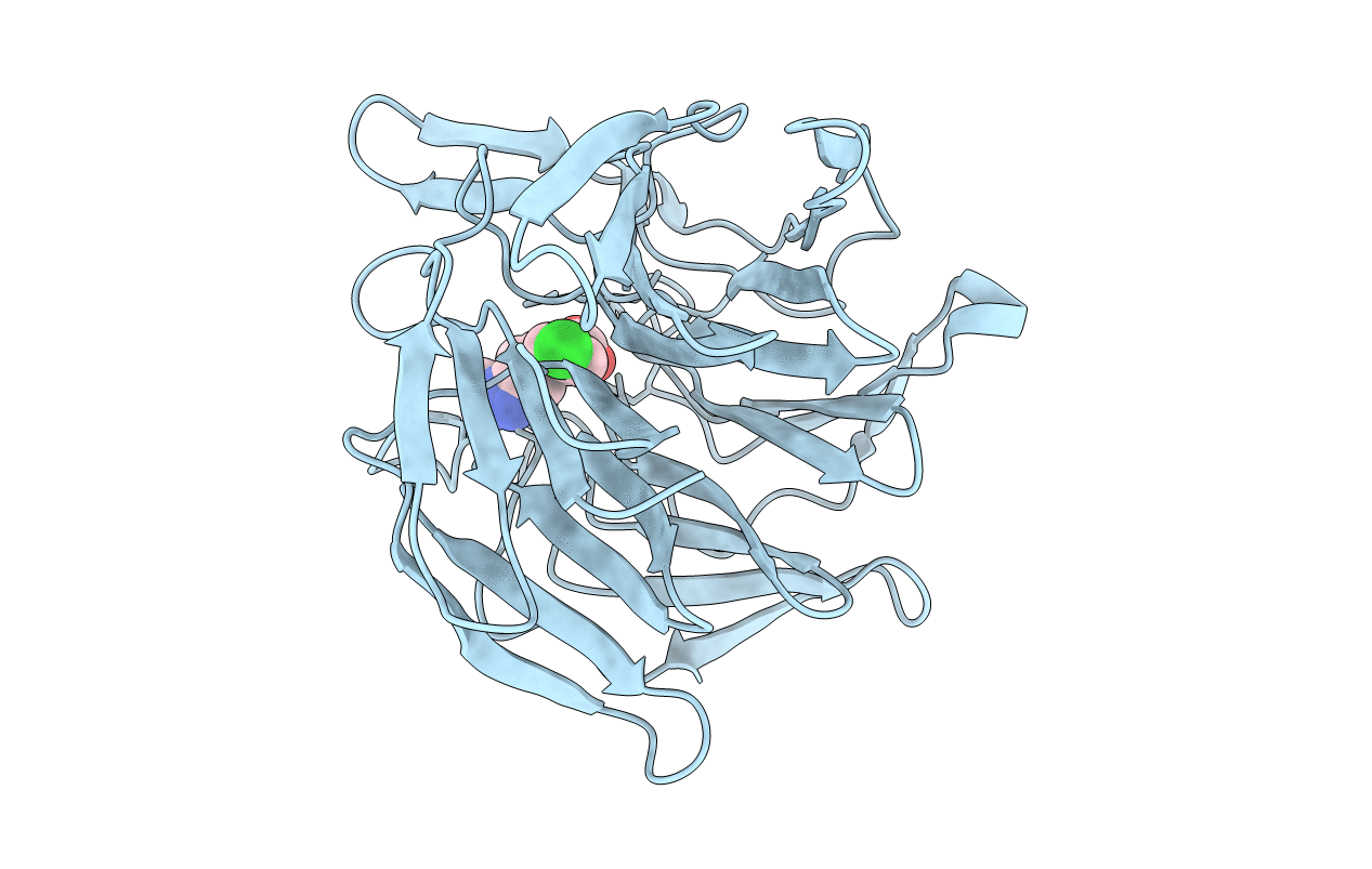 5FNR image