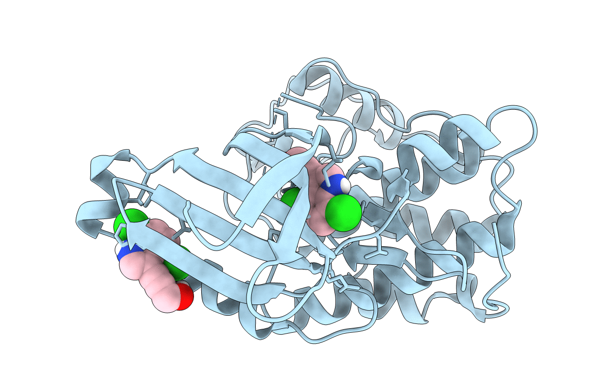 5FP6 image