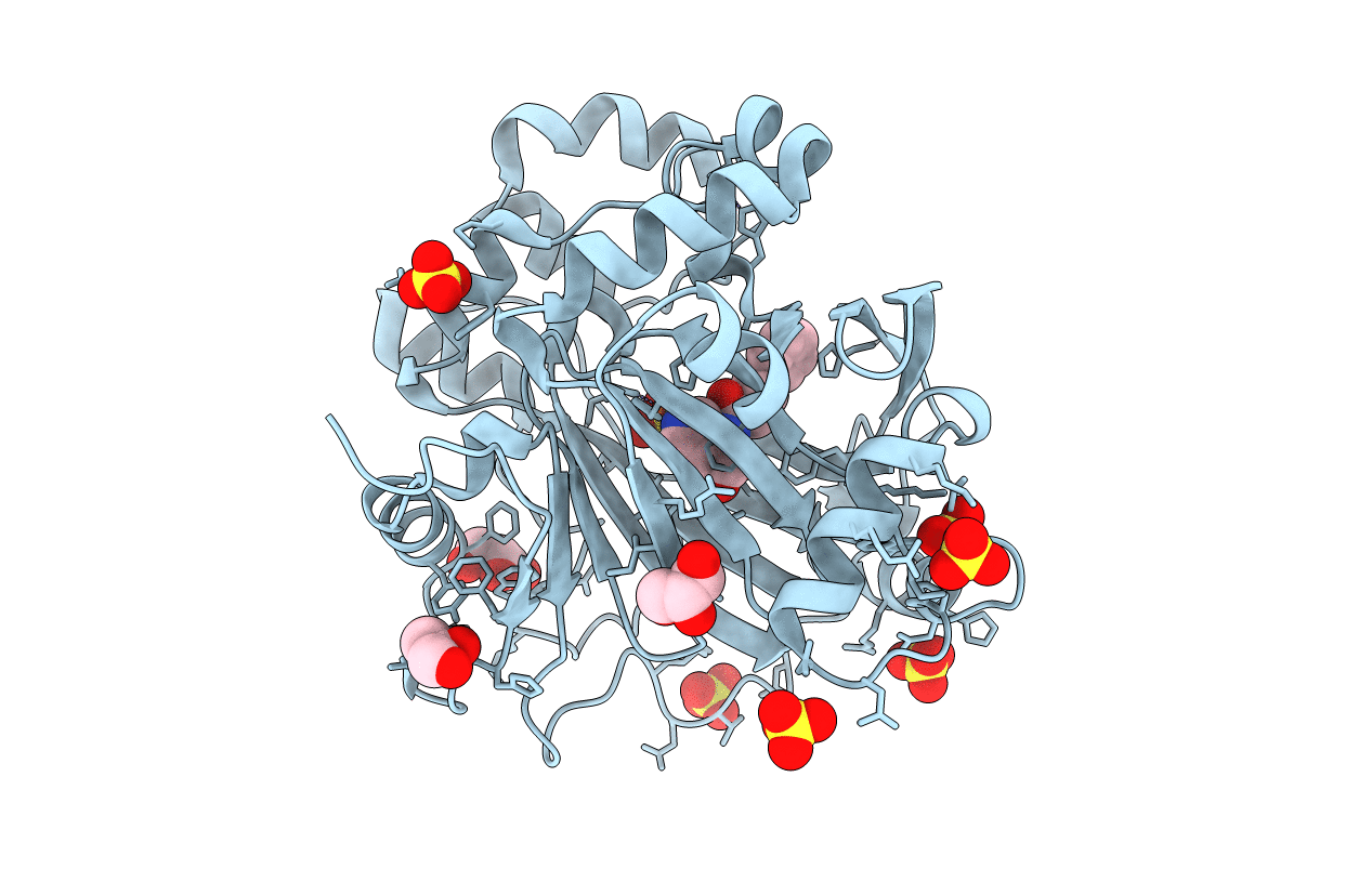 5FP7 image