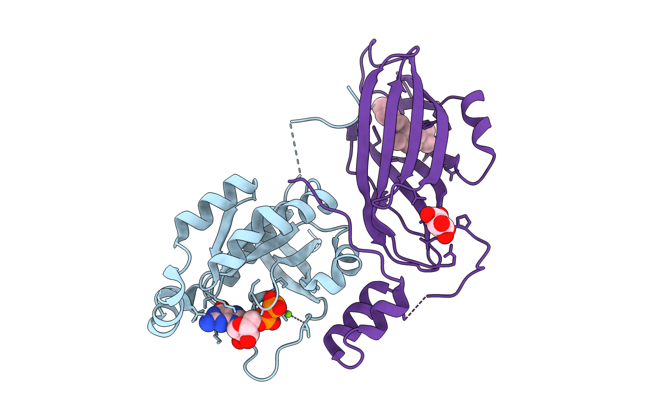 5FR2 image