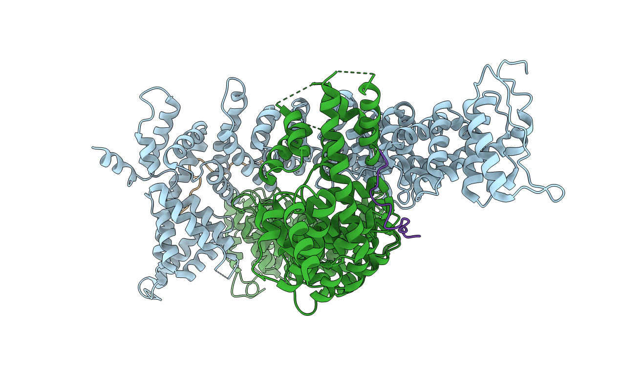 5FRP image