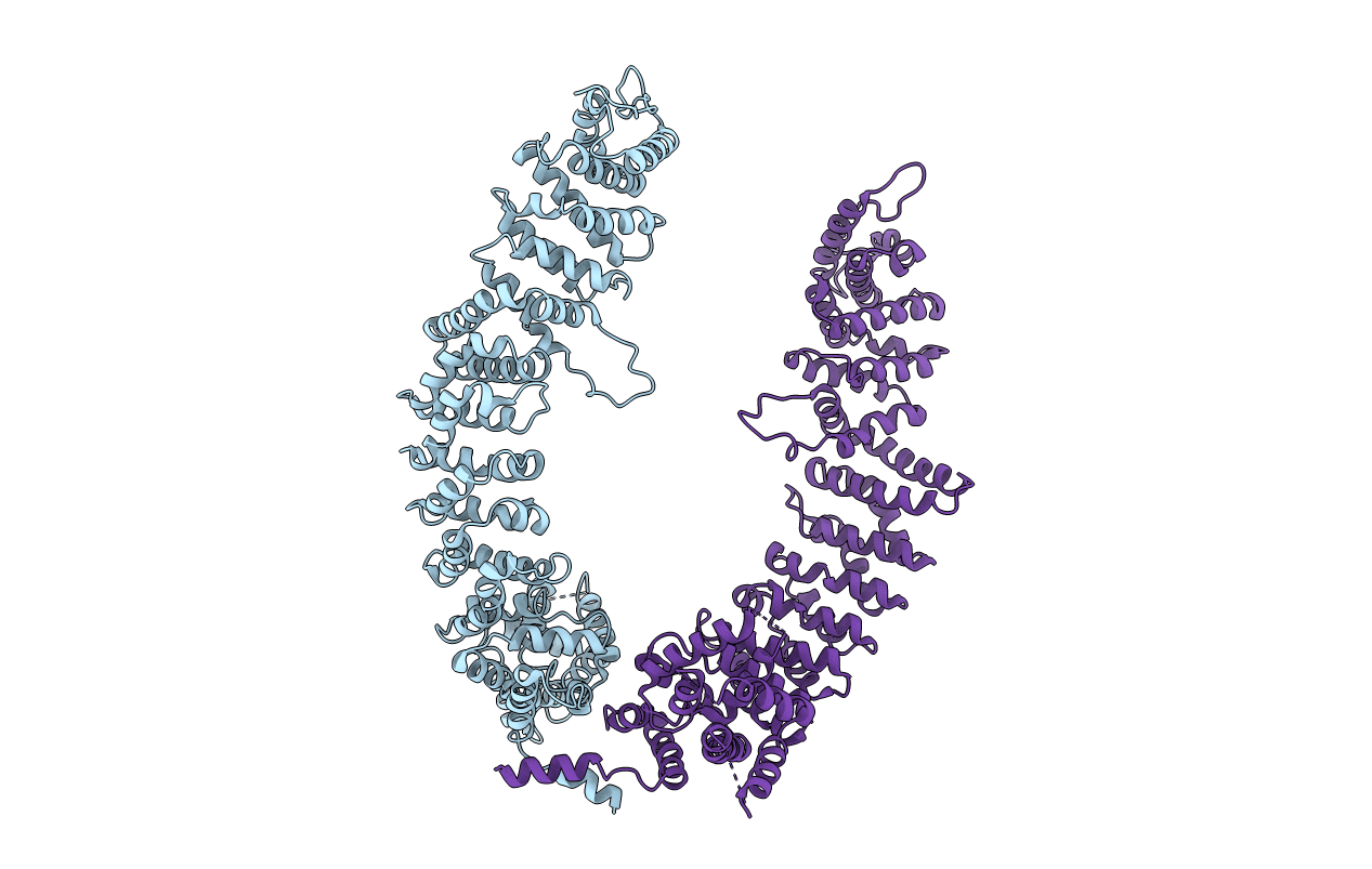 5FRR image