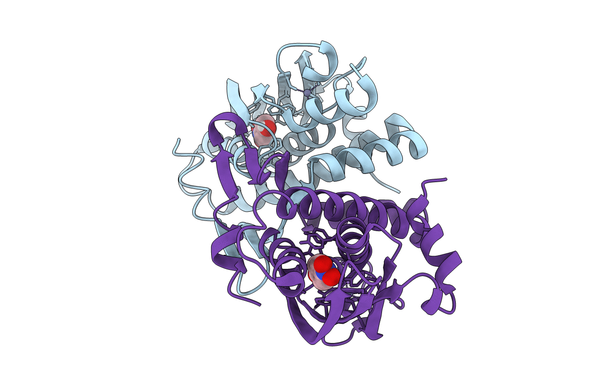 5FRX image