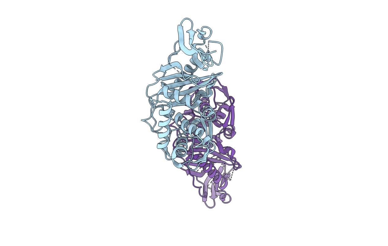 5FSR image