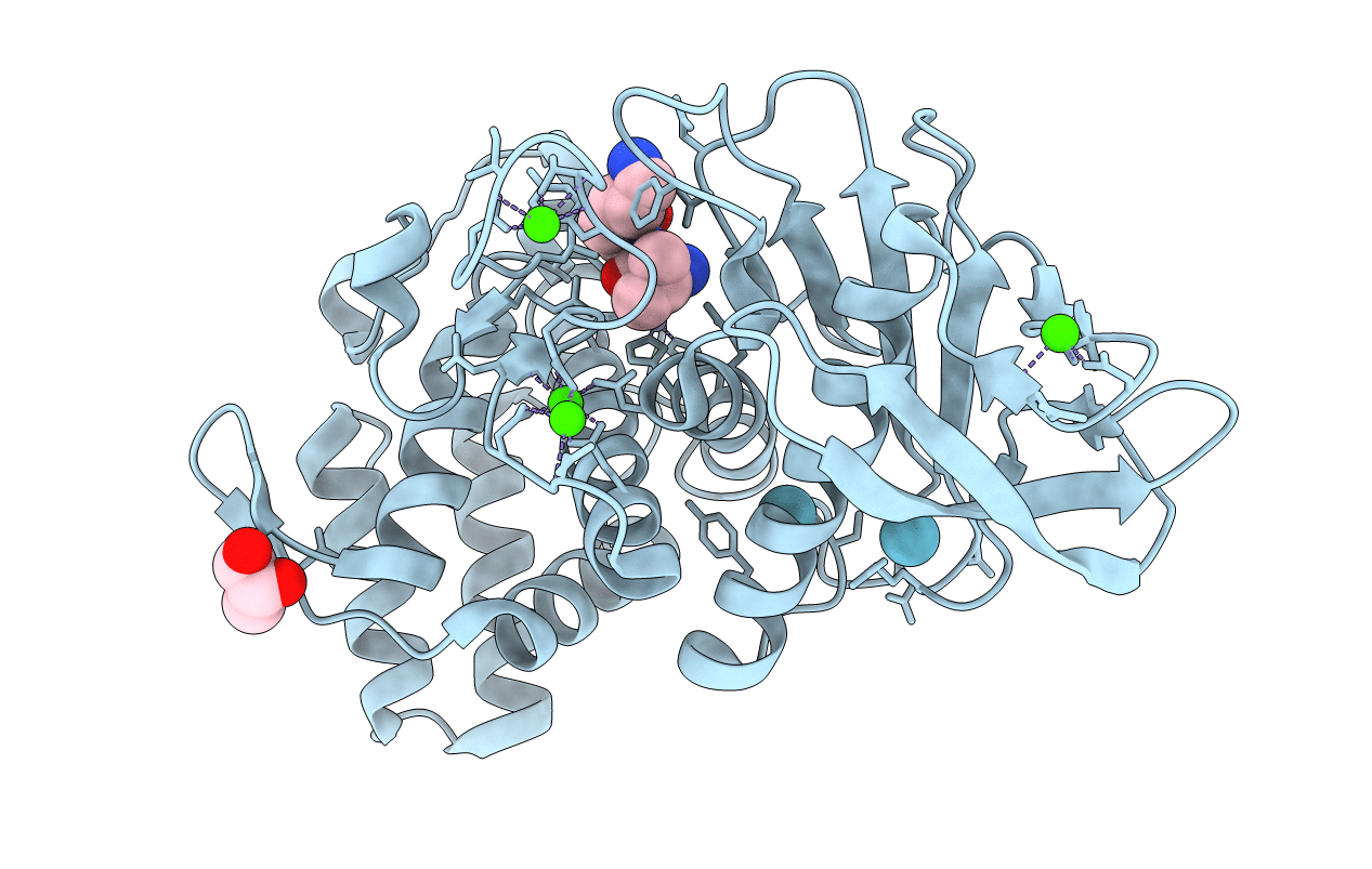 5FSS image
