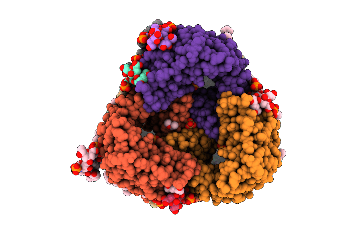 5FVN image