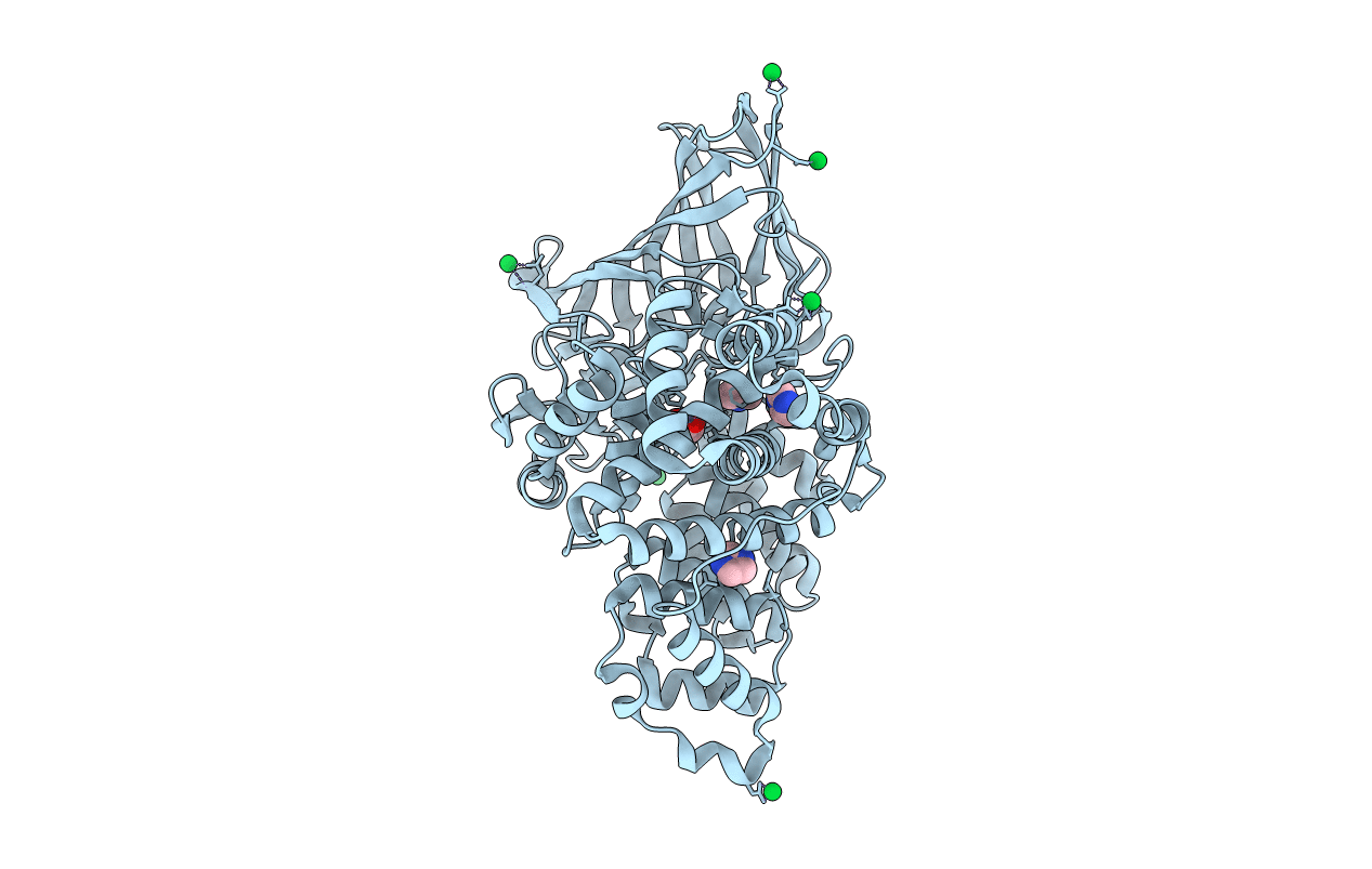 5FWQ image