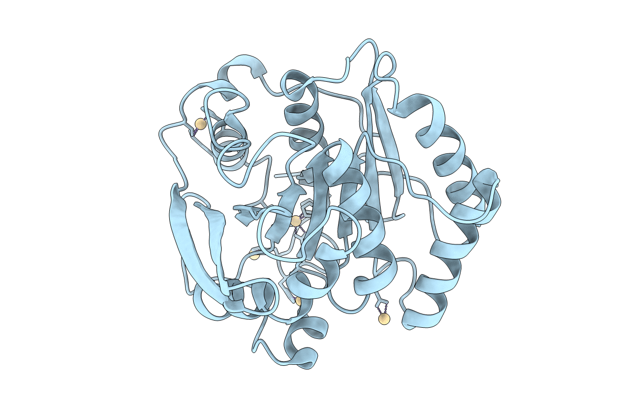 5FXM image