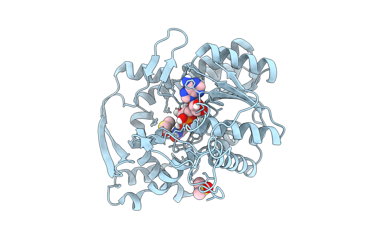 5G2O image