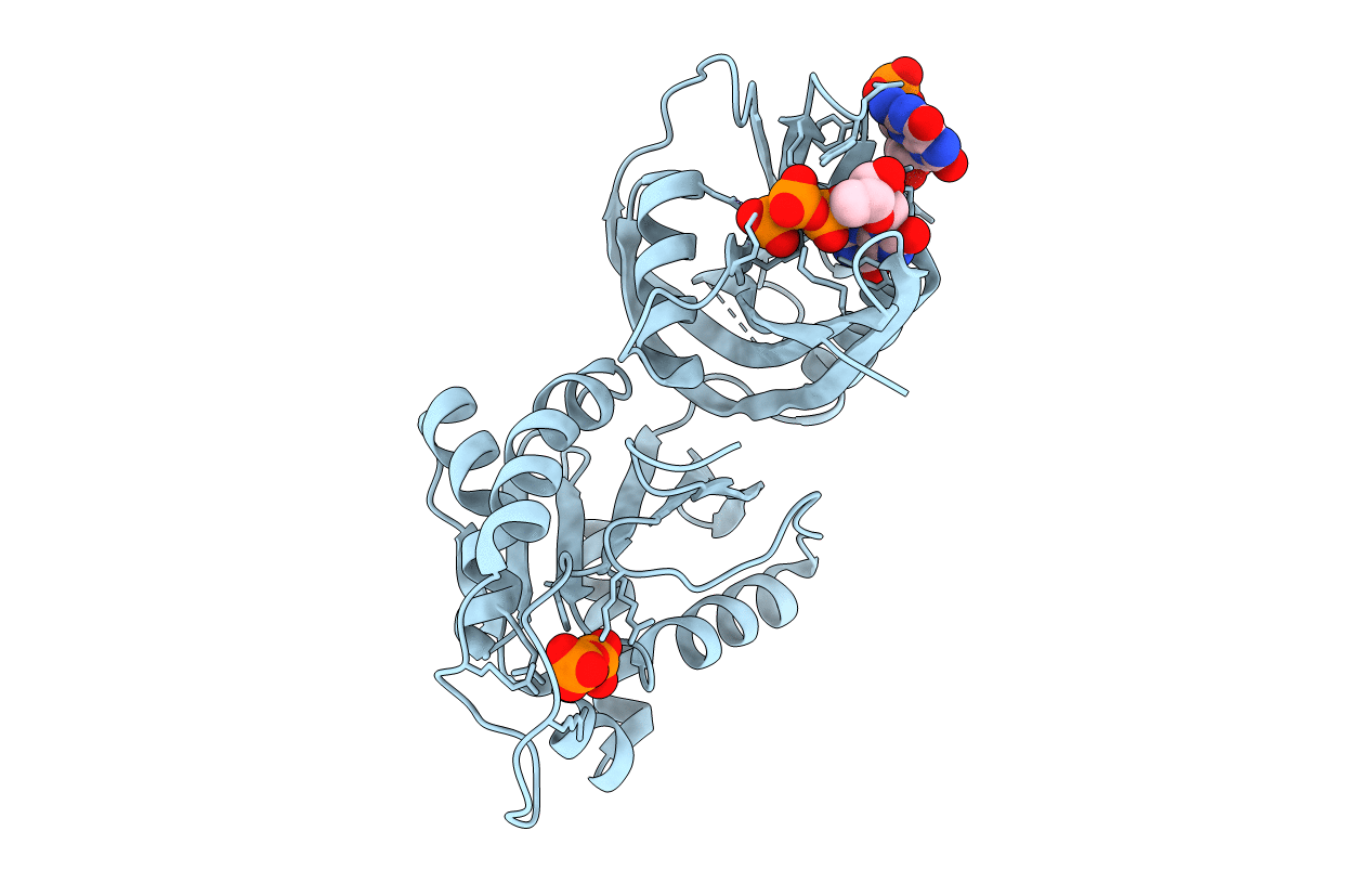 5GG9 image