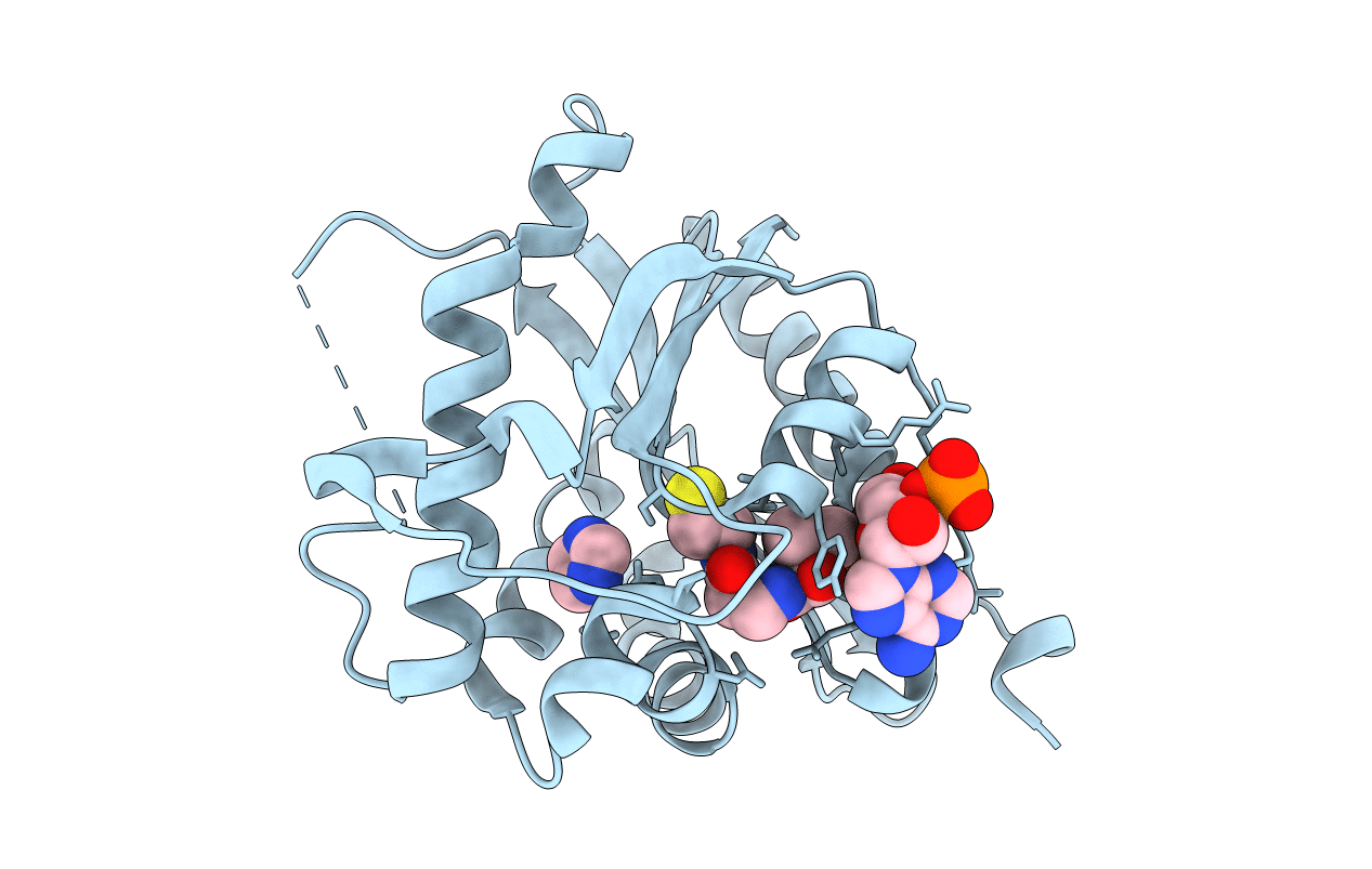 5GI5 image