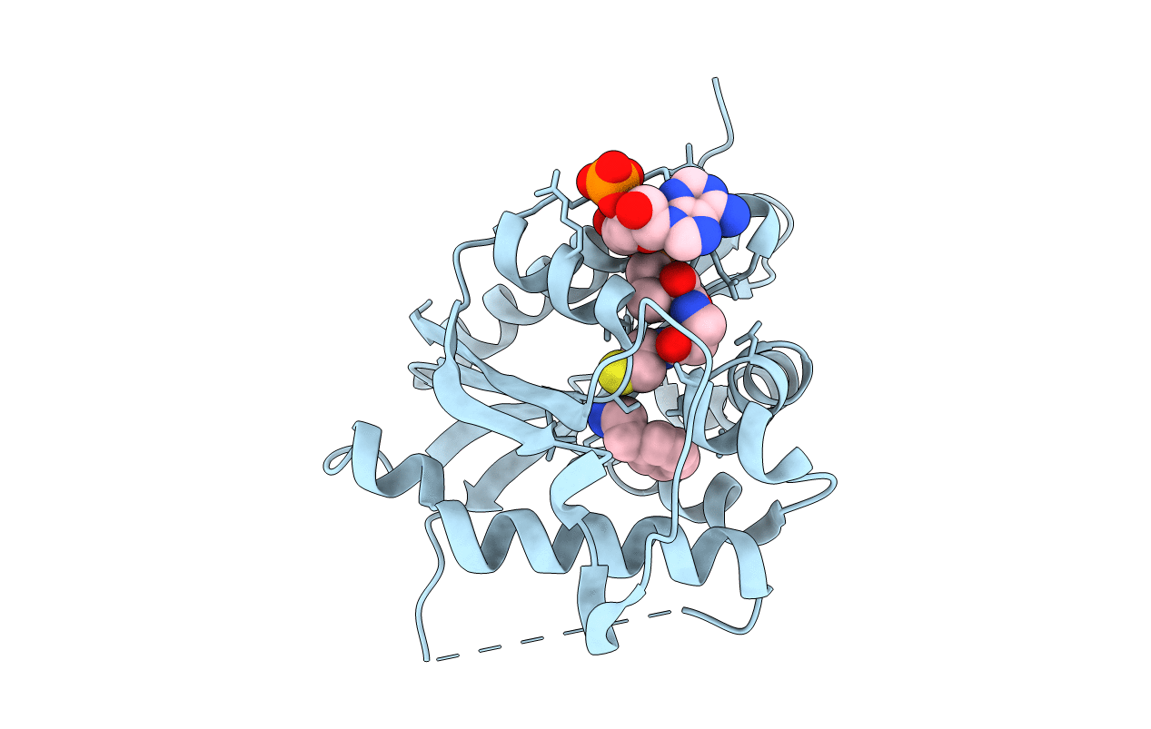 5GI6 image