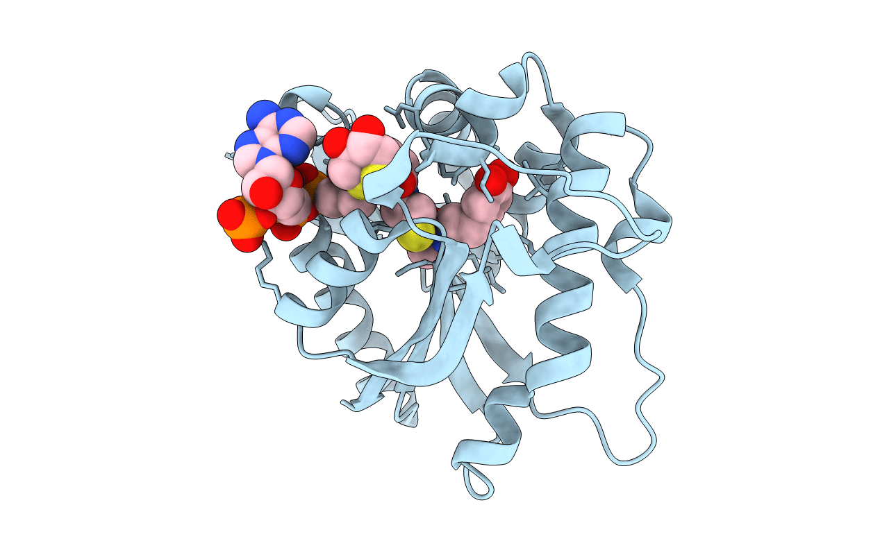 5GI8 image