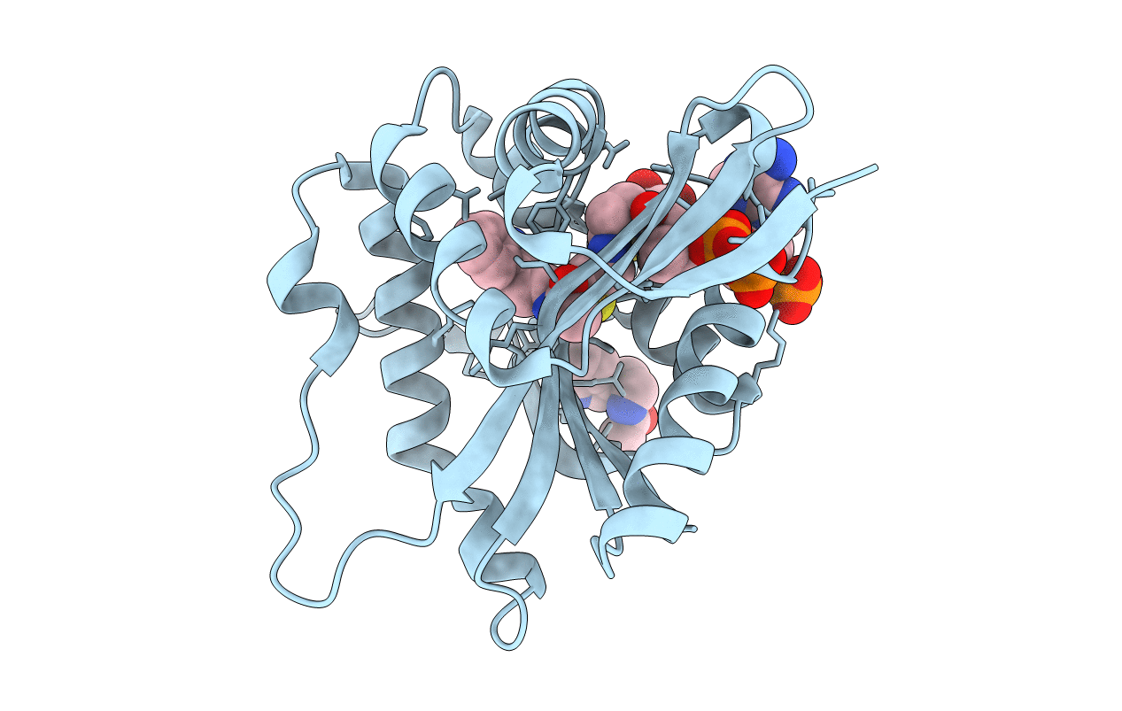 5GI9 image