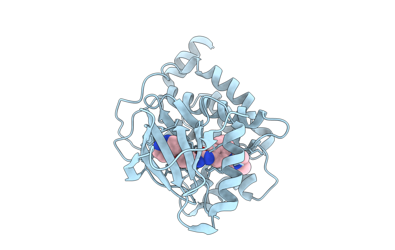 5GJD image