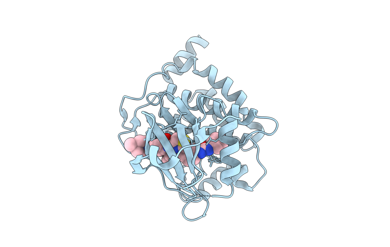 5GJF image