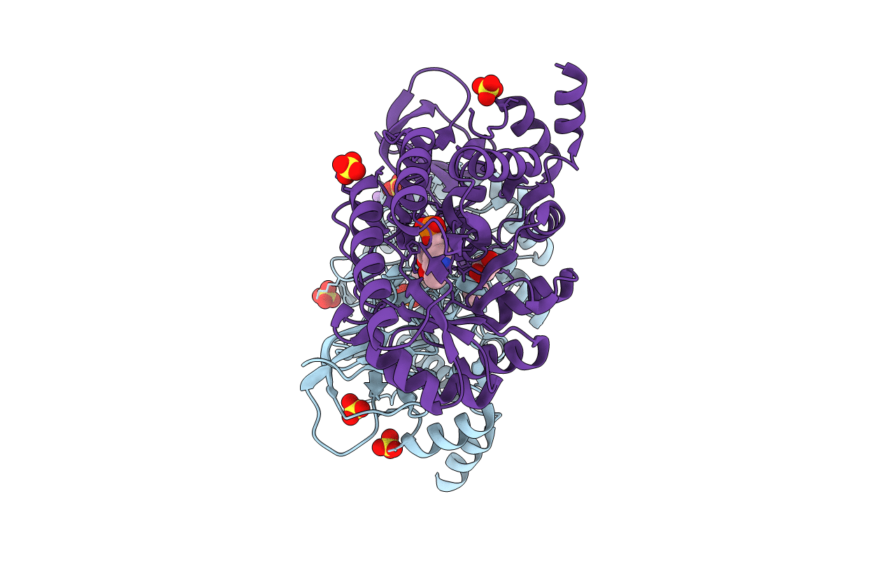 5GJO image