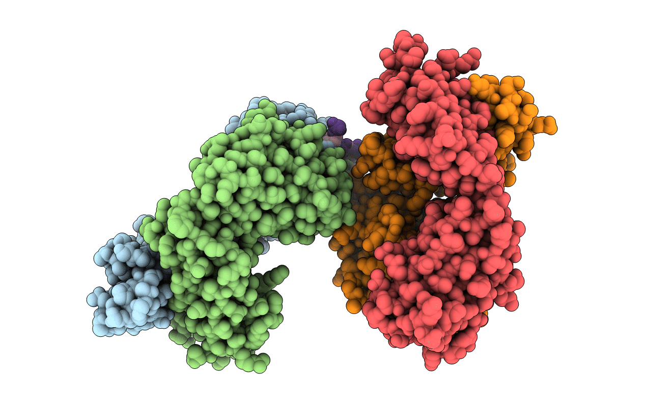 5GKR image