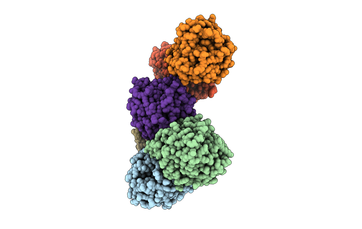 5GL2 image