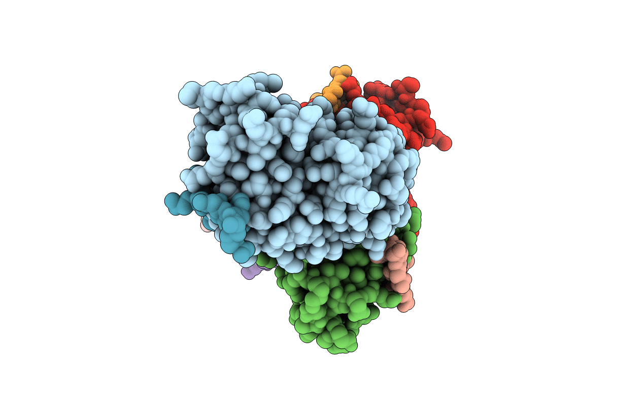 5GLF image