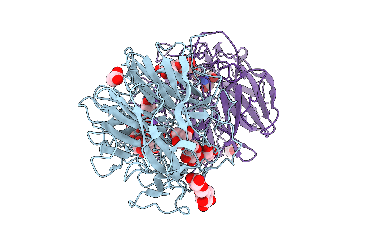 5GLM image
