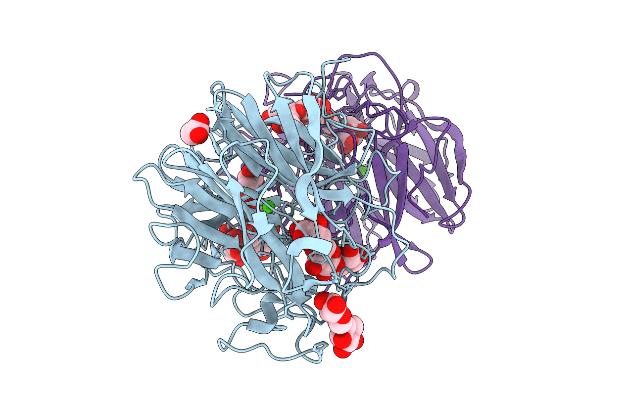 5GLN image