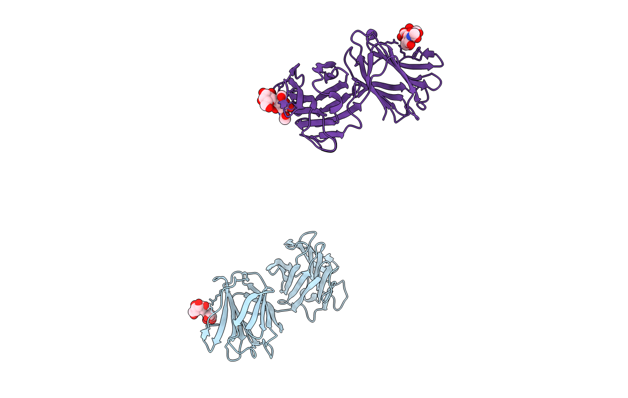 5GLW image