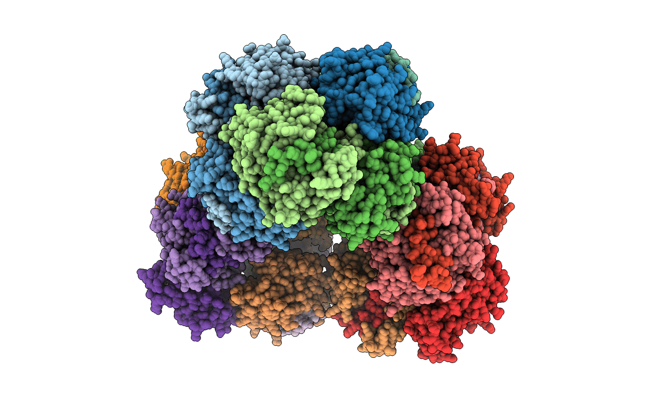5GM2 image