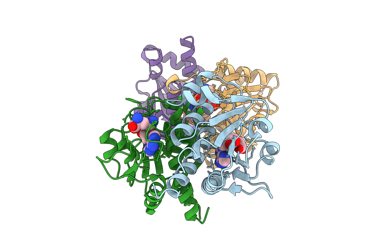 5GM8 image