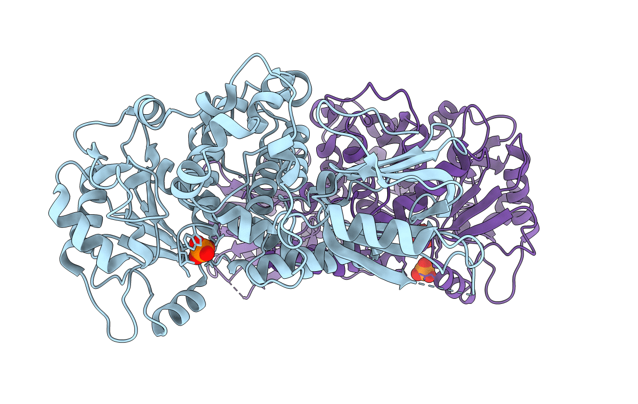 5GNH image