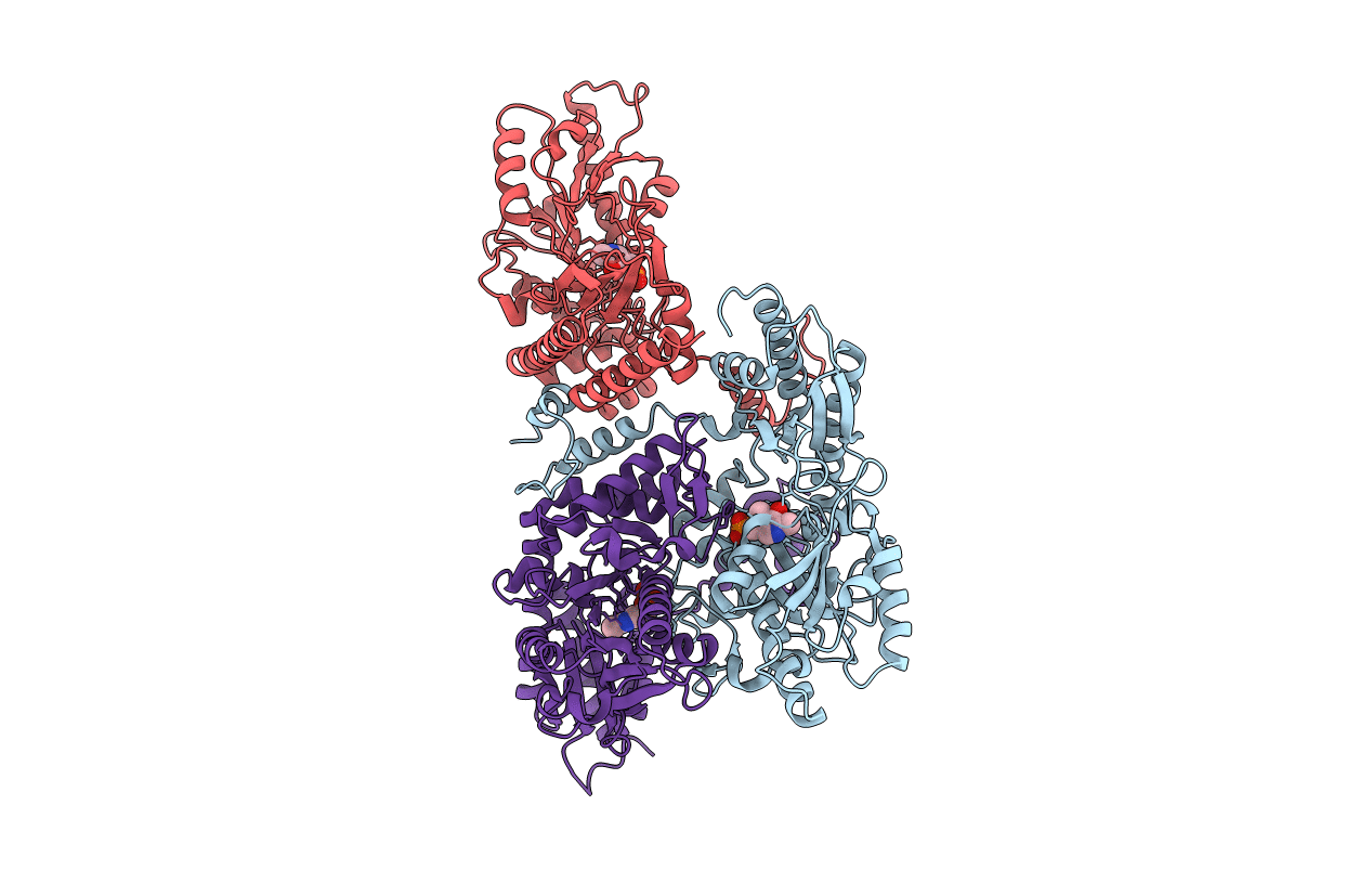 5GP4 image