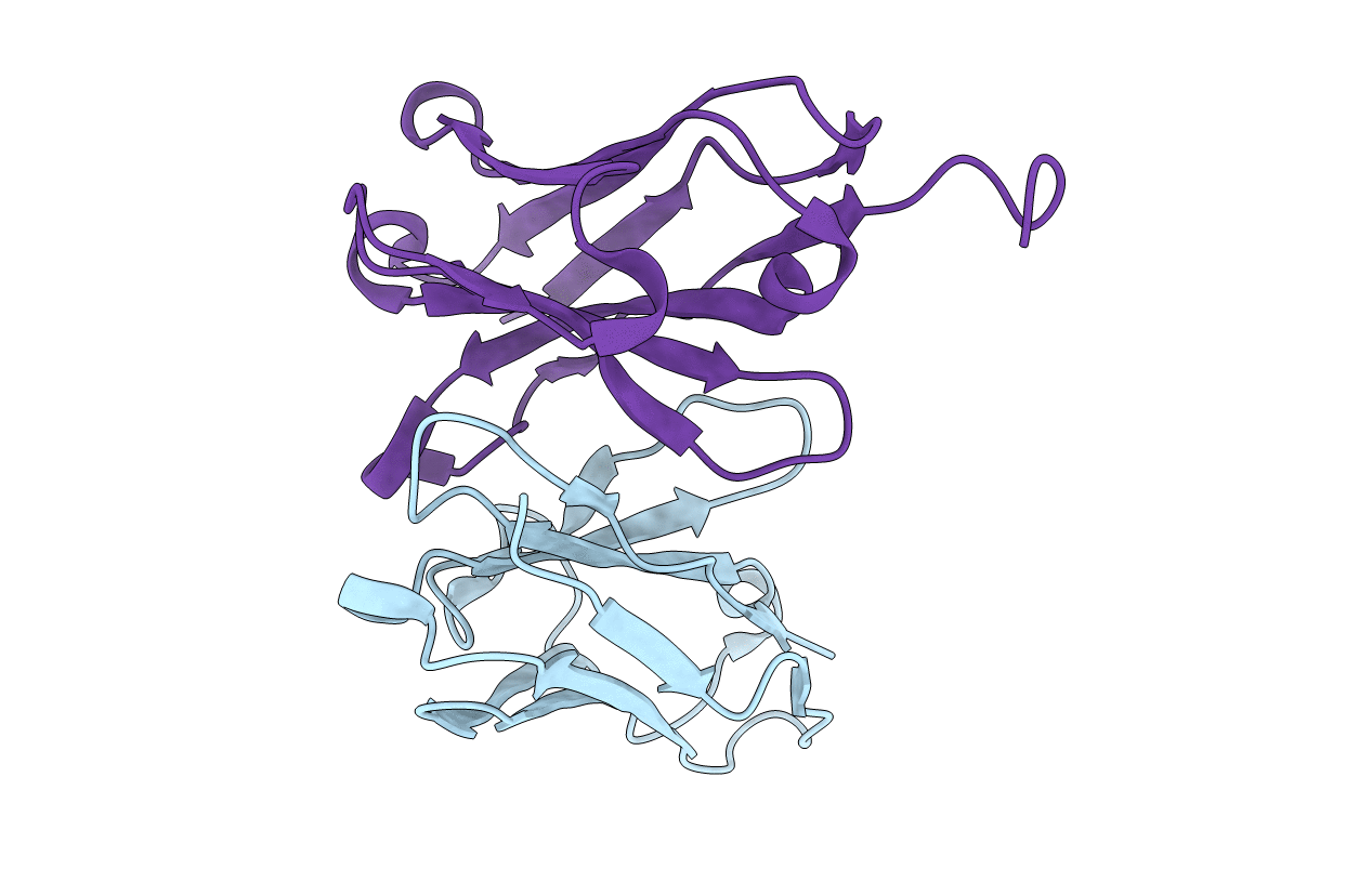 5GRV image
