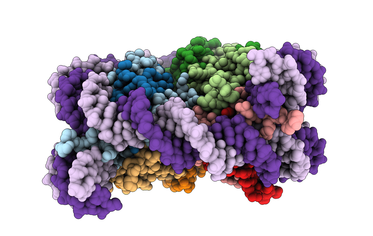 5GSU image
