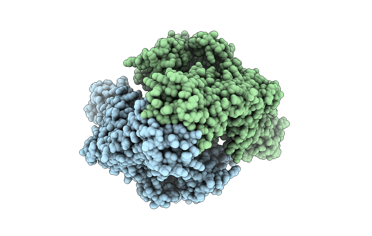 5GWK image