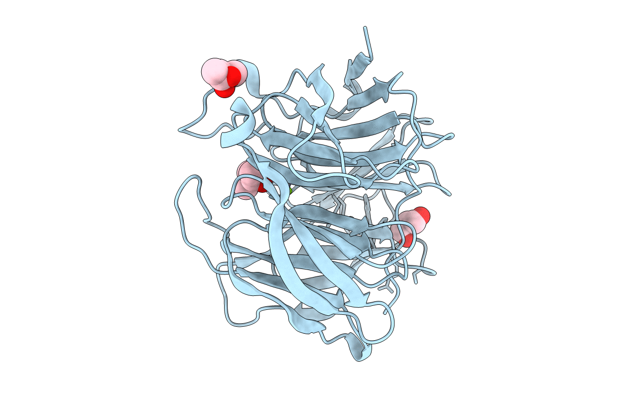5GX2 image