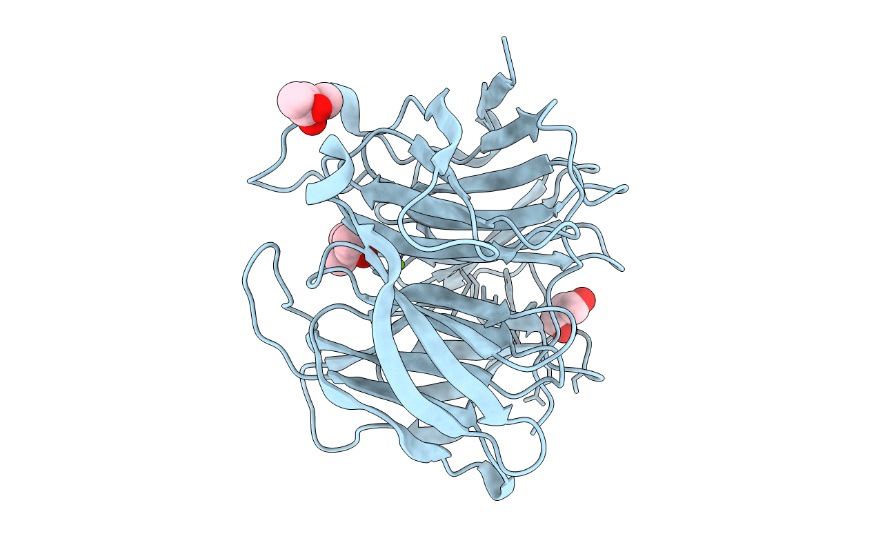 5GX4 image